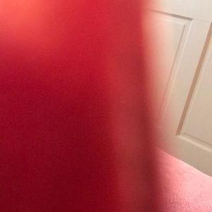 Meet your Posher, Zelda